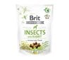 Brit Care Crunchy Cracker Insects with Rabbit šunims, 200 g x 4 цена и информация | Skanėstai šunims | pigu.lt