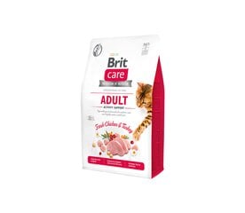 Brit Care Cat GF Adult Activity Support sausas maistas aktyvioms katėms, 2 kg kaina ir informacija | Sausas maistas katėms | pigu.lt