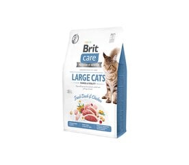 Brit Care Cat GF Large Power&Vitality sausas maistas didelių veislių veislių katėms, 7 kg kaina ir informacija | Sausas maistas katėms | pigu.lt