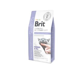 Brit GF Veterinary Diets Cat Gastrointestinal sausas maistas katėms su skrandžio ir žarnyno problemomis, 2 kg kaina ir informacija | Sausas maistas katėms | pigu.lt