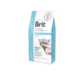 Brit GF Veterinary Diets Cat Obesity turinčioms viršsvorio katėms, 2 kg kaina ir informacija | Sausas maistas katėms | pigu.lt