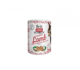 Brit Care Cat Superfruits Lamb лакомство беззерновое для кошек, 100 г x 4 цена и информация | Лакомства для кошек | pigu.lt