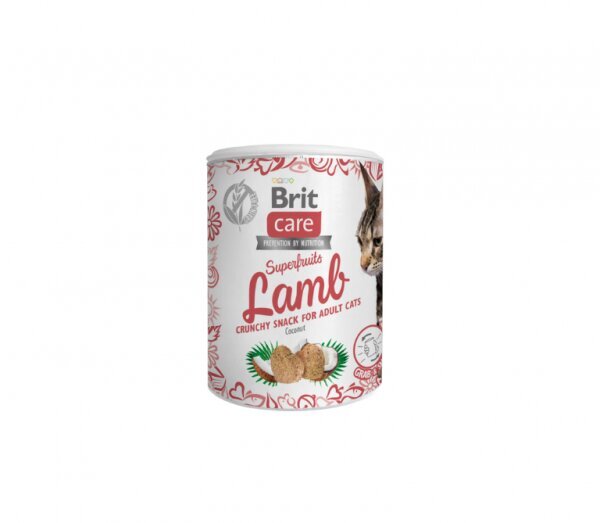 Brit Care Cat Superfruits Lamb begrūdis, 100 g x 4 kaina ir informacija | Skanėstai katėms | pigu.lt