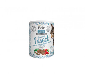 Brit Care Cat Superfruits Insect begrūdis , 100 g x 4 kaina ir informacija | Skanėstai katėms | pigu.lt