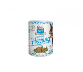 Brit Care Cat Superfruits Herring begrūdis, 100 g x 4 kaina ir informacija | Skanėstai katėms | pigu.lt