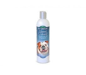 Bio-Groom Natural Oatmeal натуральный шампунь для собак и кошек, 355 мл цена и информация | Косметические средства для животных | pigu.lt