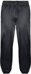 Sportinės kelnės vyrams Pantoneclo, mėlynos kaina ir informacija | Sportinė apranga vyrams | pigu.lt