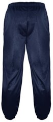 Sportinės kelnės vyrams Pantoneclo, mėlynos kaina ir informacija | Sportinė apranga vyrams | pigu.lt