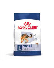 Royal Canin Maxi Adult suaugusiems didelių veislių šunims, 4 kg kaina ir informacija | Sausas maistas šunims | pigu.lt