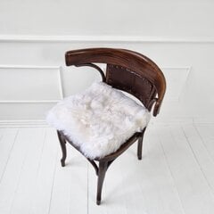 Подушки для стульев цена и информация | Декоративные подушки и наволочки | pigu.lt