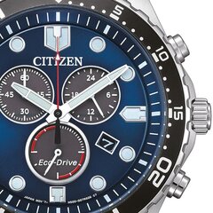 Citizen Eco-Drive AT2560-84L AT2560-84L цена и информация | Женские часы | pigu.lt