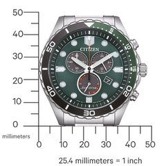 Citizen Eco-Drive AT2561-81X AT2561-81X цена и информация | Женские часы | pigu.lt