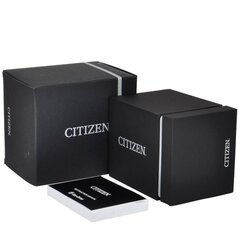 Citizen Eco-Drive AT2567-18L AT2567-18L kaina ir informacija | Moteriški laikrodžiai | pigu.lt