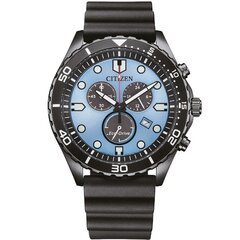 Citizen Eco-Drive AT2567-18L AT2567-18L цена и информация | Женские часы | pigu.lt