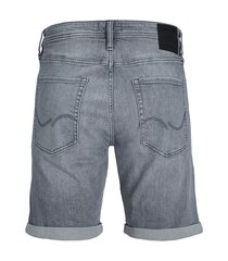 Детские джинсовые шорты Jack & Jones 12253814*01 5715508746590, серые цена и информация | Шорты для мальчиков Gulliver, серые милитари | pigu.lt