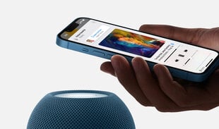 Apple HomePod Mini, синий цена и информация | Аудиоколонки | pigu.lt