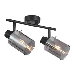 Потолочный светильник Sardo  SPL-5581-2-BK-SG цена и информация | Потолочные светильники | pigu.lt