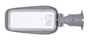 Уличный светильник LED PREMIUM 50W IP65, холодный белый (6500K), 130 Лм/Вт, гарантия 3 года цена и информация | Уличные светильники | pigu.lt