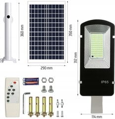 Fluxar LED lauko šviestuvas su saulės baterija ir judesio davikliu S613 kaina ir informacija | Lauko šviestuvai | pigu.lt