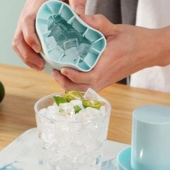 '1vnt silikoninė ledo kubo forma' kaina ir informacija | Virtuvės įrankiai | pigu.lt