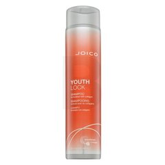 Šampūnas žvilgantiems plaukams Joico Youth Lock Shampoo, 300 ml kaina ir informacija | Šampūnai | pigu.lt