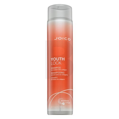 Šampūnas žvilgantiems plaukams Joico Youth Lock Shampoo, 300 ml цена и информация | Šampūnai | pigu.lt