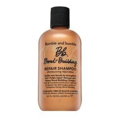Maitinamasis šampūnas sausiems ir pažeistiems plaukams Bumble And Bumble BB Bond Building Repair Shampoo, 250 ml kaina ir informacija | Šampūnai | pigu.lt