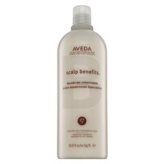 Aveda Scalp Benefits Balancing Conditioner укрепляющий кондиционер для всех типов волос 1000 мл цена и информация | Бальзамы, кондиционеры | pigu.lt