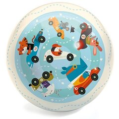 Kamuolys Djeco Eismas, 22 cm цена и информация | Игрушки для песка, воды, пляжа | pigu.lt