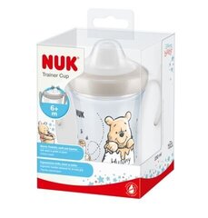 Gertuvė Nuk Winnie the Pooh, 230 ml kaina ir informacija | NUK Sportas, laisvalaikis, turizmas | pigu.lt