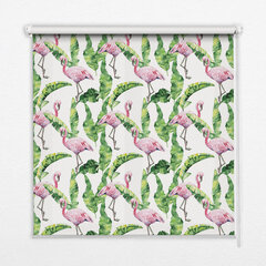 Roletas Flamingos ant lapų, 130x140 cm kaina ir informacija | Roletai | pigu.lt