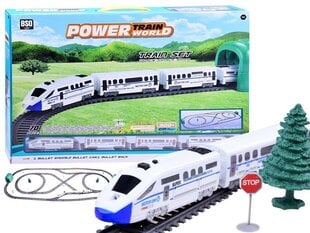 Įspūdingas RC elektrinis traukinys, baltas, 900 cm kaina ir informacija | Žaislai berniukams | pigu.lt