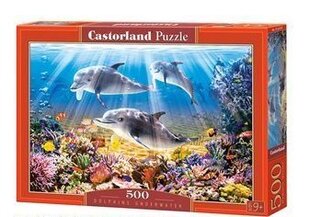 Dėlionė Castroland Delfinai koralų rife, 500 d. kaina ir informacija | Dėlionės (puzzle) | pigu.lt