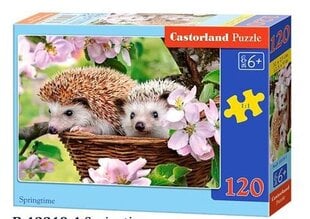 Dėlionė Castorland Ežiukai, 120 d. kaina ir informacija | Dėlionės (puzzle) | pigu.lt