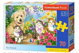 Dėlionė Castorland Geriausi draugai, 70 d. kaina ir informacija | Dėlionės (puzzle) | pigu.lt