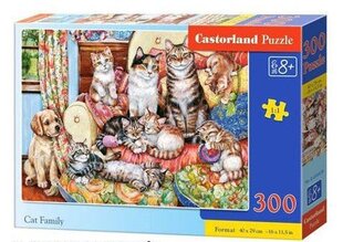 Dėlionė Castorland Kačių šeimyna, 300 d. kaina ir informacija | Dėlionės (puzzle) | pigu.lt