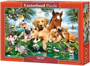 Dėlionė Castroland Bičiuliai vasarą, 500 d. kaina ir informacija | Dėlionės (puzzle) | pigu.lt