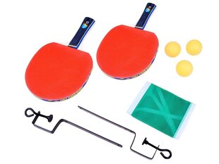 Набор для настольного тенниса цена и информация | Ракетки для настольного тенниса, чехлы и наборы | pigu.lt