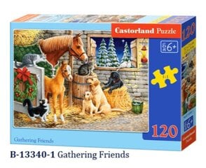 Dėlionė Castorland Ūkio draugų susirinkimas, 120 d. kaina ir informacija | Dėlionės (puzzle) | pigu.lt