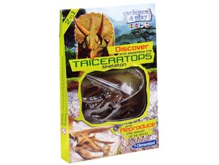 Kasinėjimo rinkinys Clementoni 3D triceratopso skeletas цена и информация | Игрушки для мальчиков | pigu.lt