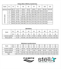 Maudymosi komplektas moterims Fianeta 3117, juodas kaina ir informacija | Maudymosi kostiumėliai | pigu.lt