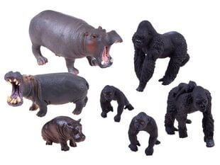 Hipopotamų ir gorilų figūrėlės Lean Toys kaina ir informacija | Žaislai berniukams | pigu.lt