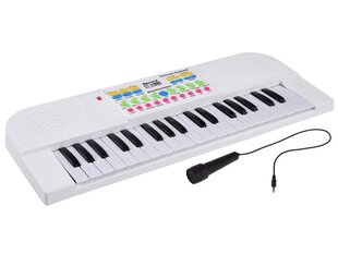 Žaislinis pianinas su mikrofonu kaina ir informacija | Lavinamieji žaislai | pigu.lt