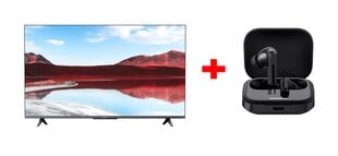 Xiaomi QLED TV A Pro 2025 55" + Xiaomi Redmi Buds 5 Black цена и информация | Телевизоры | pigu.lt