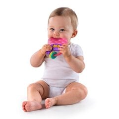 Vėsinantis vandens kramtukas Bright Starts Carry & Teethe цена и информация | Игрушки для малышей | pigu.lt