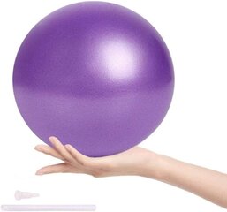 Gimnastikos kamuolys, Gerui violetinis 25 cm. kaina ir informacija | Gimnastikos kamuoliai | pigu.lt