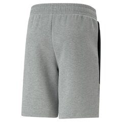 PUMA pilkos spalvos laisvalaikio šortai vyrams BMW MMS Sweat Shorts 8.6  Medium - 53813403 53813403.XXL цена и информация | Мужские шорты | pigu.lt