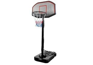 Reguliuojamas krepšinio stovas, 200-300 cm kaina ir informacija | Lauko žaidimai | pigu.lt