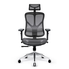 Biuro kėdė Diablo V-Basic, juoda/pilka kaina ir informacija | Biuro kėdės | pigu.lt