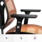 Biuro kėdė Diablo V-Basic, juoda/oranžinė kaina ir informacija | Biuro kėdės | pigu.lt